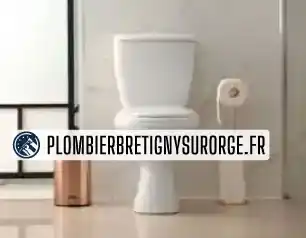 Remplacement de wc Brétigny-sur-Orge