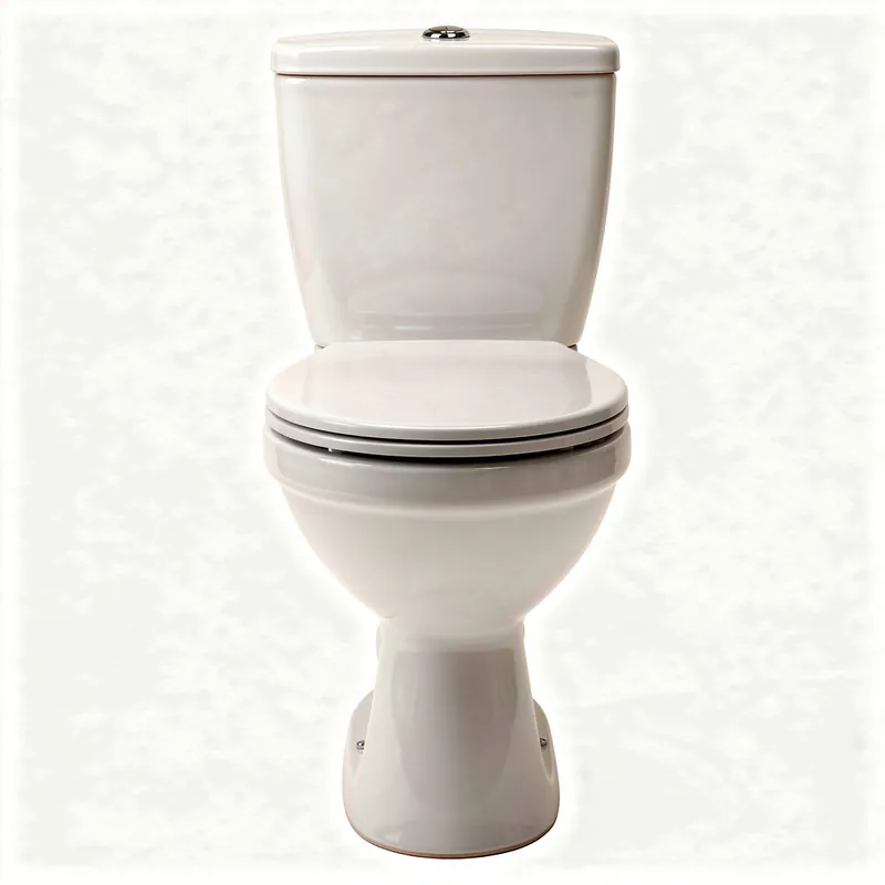 Remplacement de WC Brétigny-sur-Orge