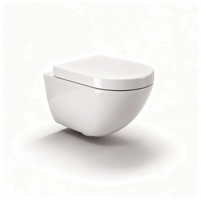 Pose WC Suspendu Brétigny-sur-Orge